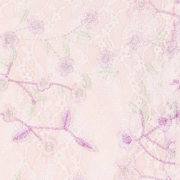 Revolve Skylight Dress Lovers and Friends Pink Floral Lace Asymmetrical Dress - Picture 6 of 14